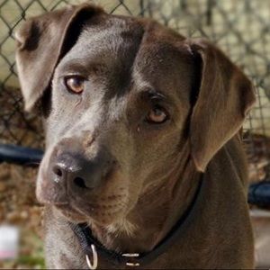 Meet your Posher, Evelynn